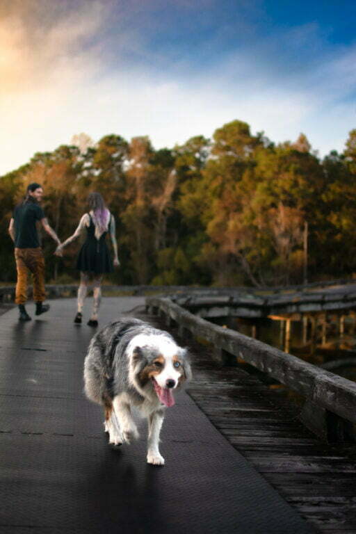 Shallotte, NC engagement photographer.