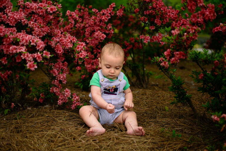Lifestyle family portrait photography session with azaleas in Wilmington, NC.