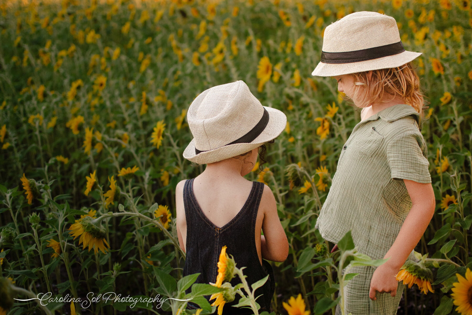 Sunflower field lifestyle family photography Holden Beach, NC.
