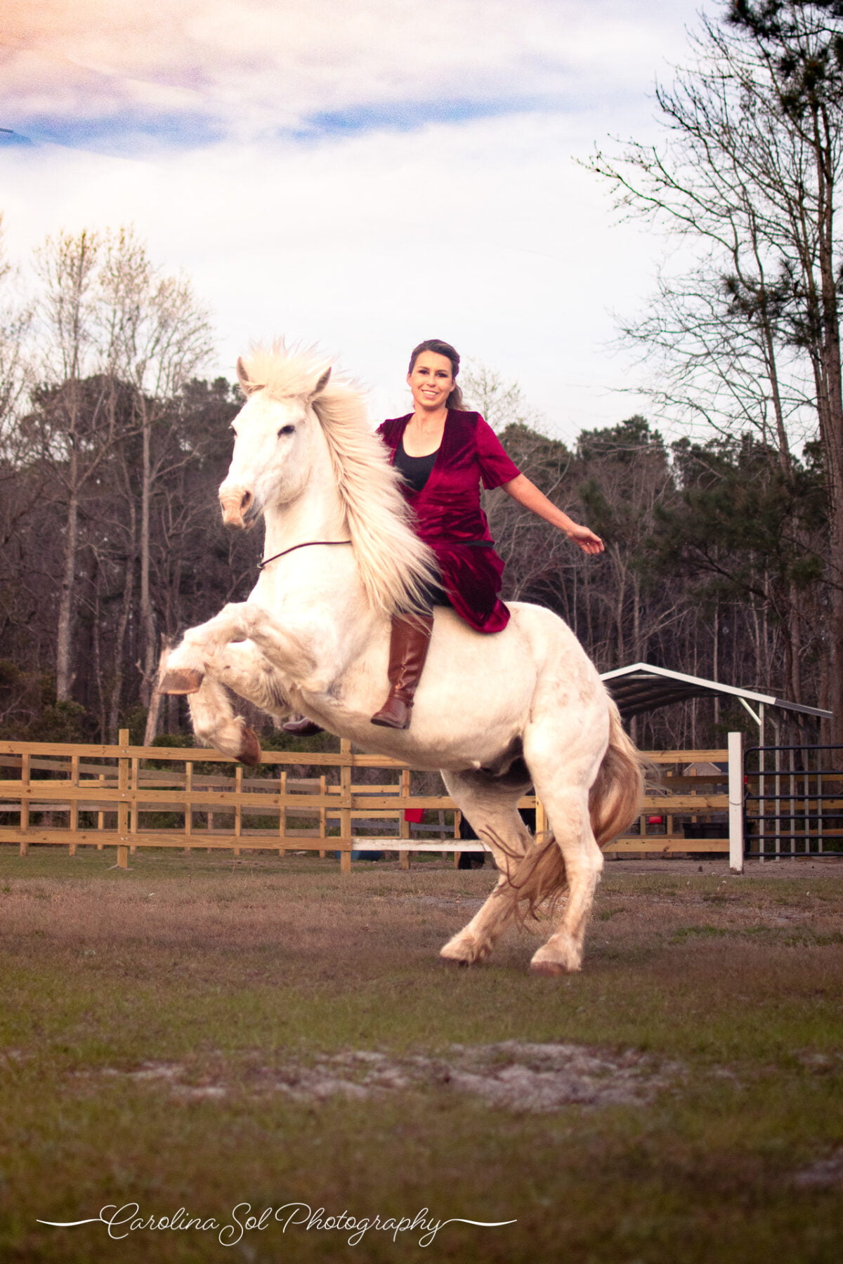 Trick horses preforming with trainer equine photography Shallotte, NC.