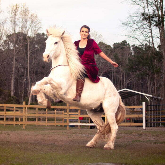 Trick horses preforming with trainer equine photography Shallotte, NC.