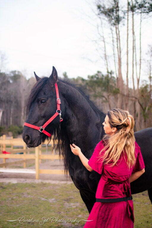 Fine art equine photography session Bolivia, NC.