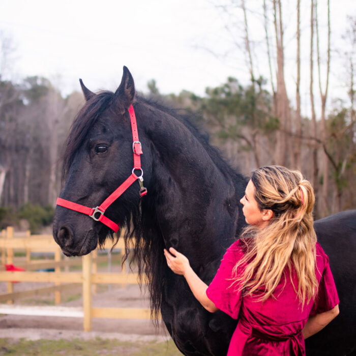 Fine art equine photography session Bolivia, NC.