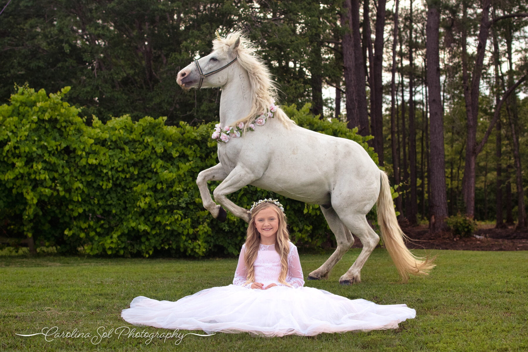 Princess and unicorn photography session Shallotte, NC.